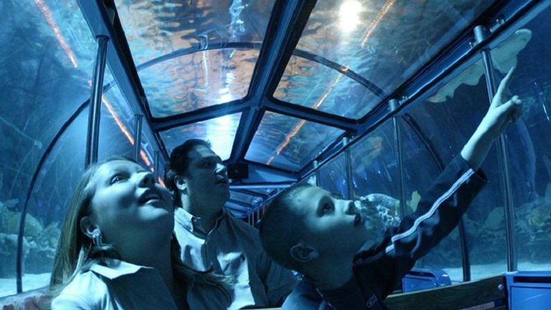 houston aquarium deals